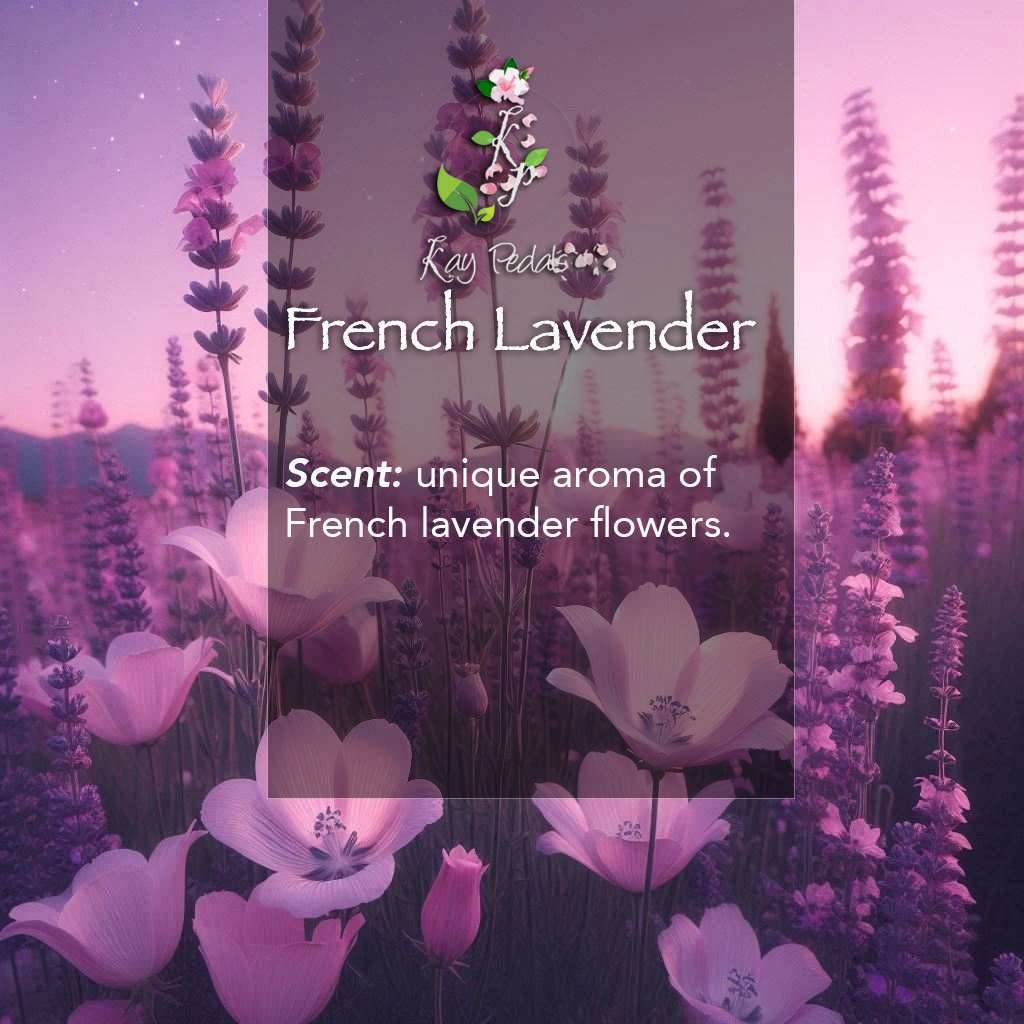 French Lavender Body Lotion | Organic Body Cream |Shea Butter Lotion | Almond Body Lotion | Fragrance Lotion-1