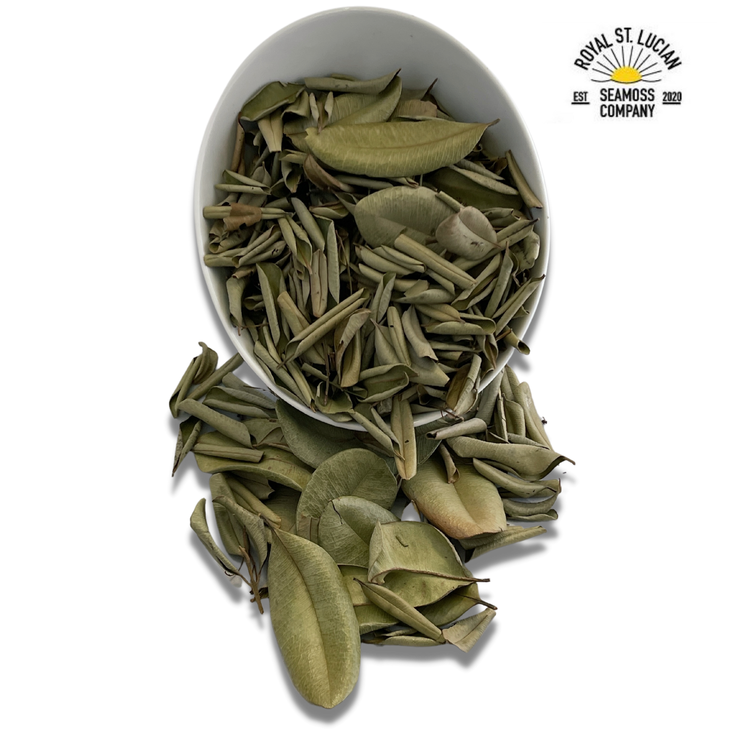 Sweet Bay Leaves-2