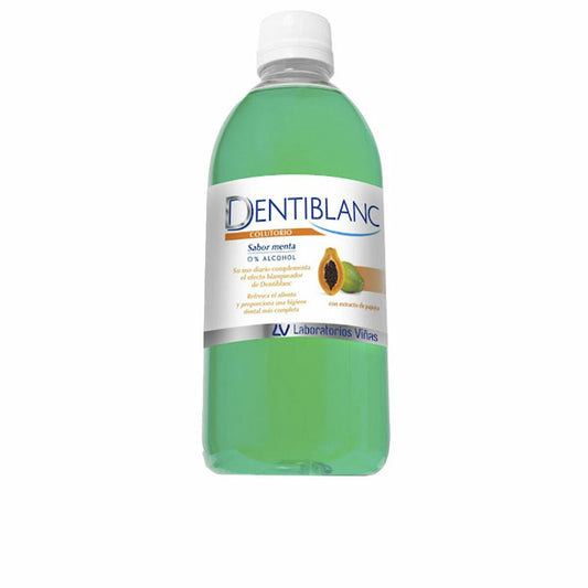 Toilet Bag DENTIBLANC Mint-0
