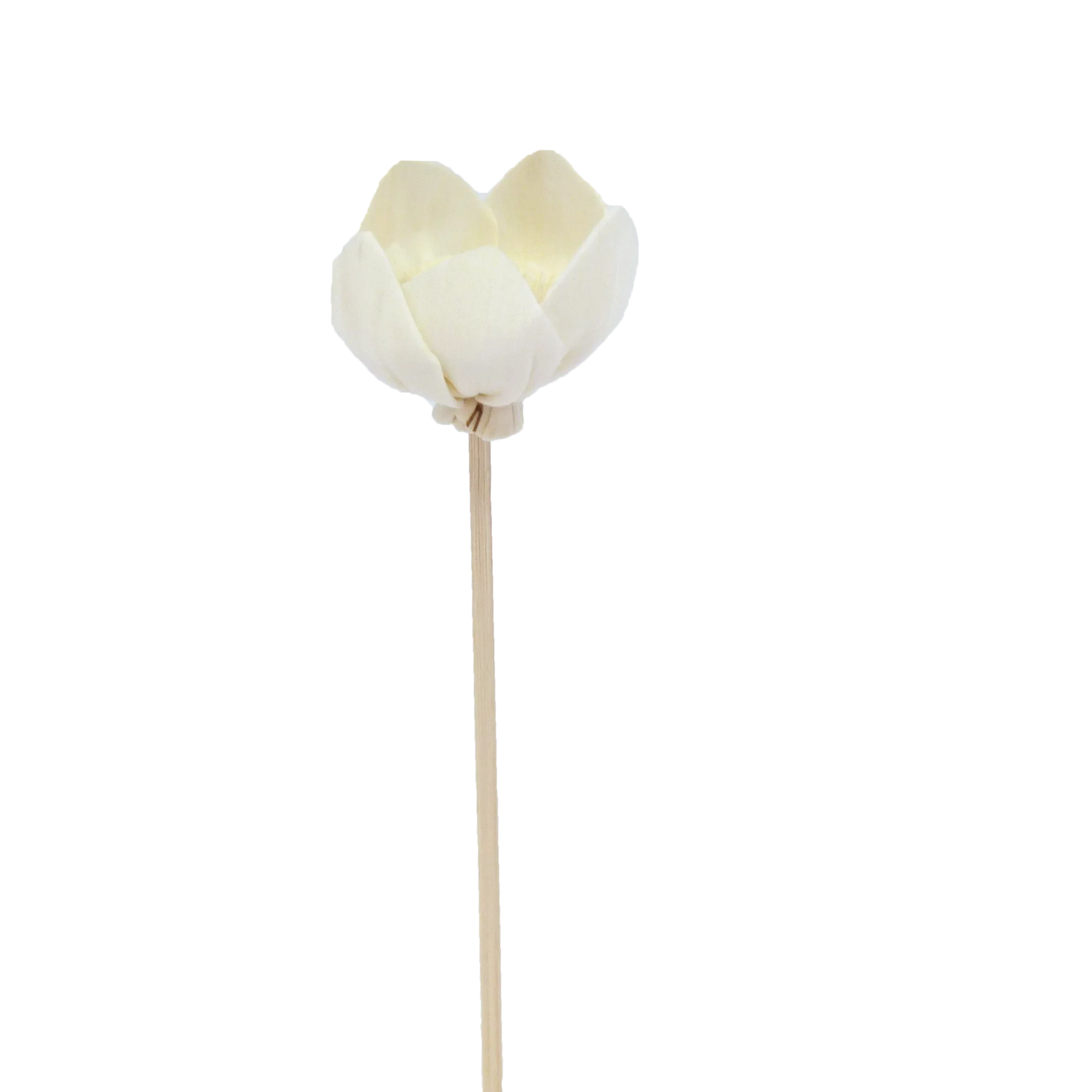 Narcissus Flower - Rattan Diffuser Stick-0