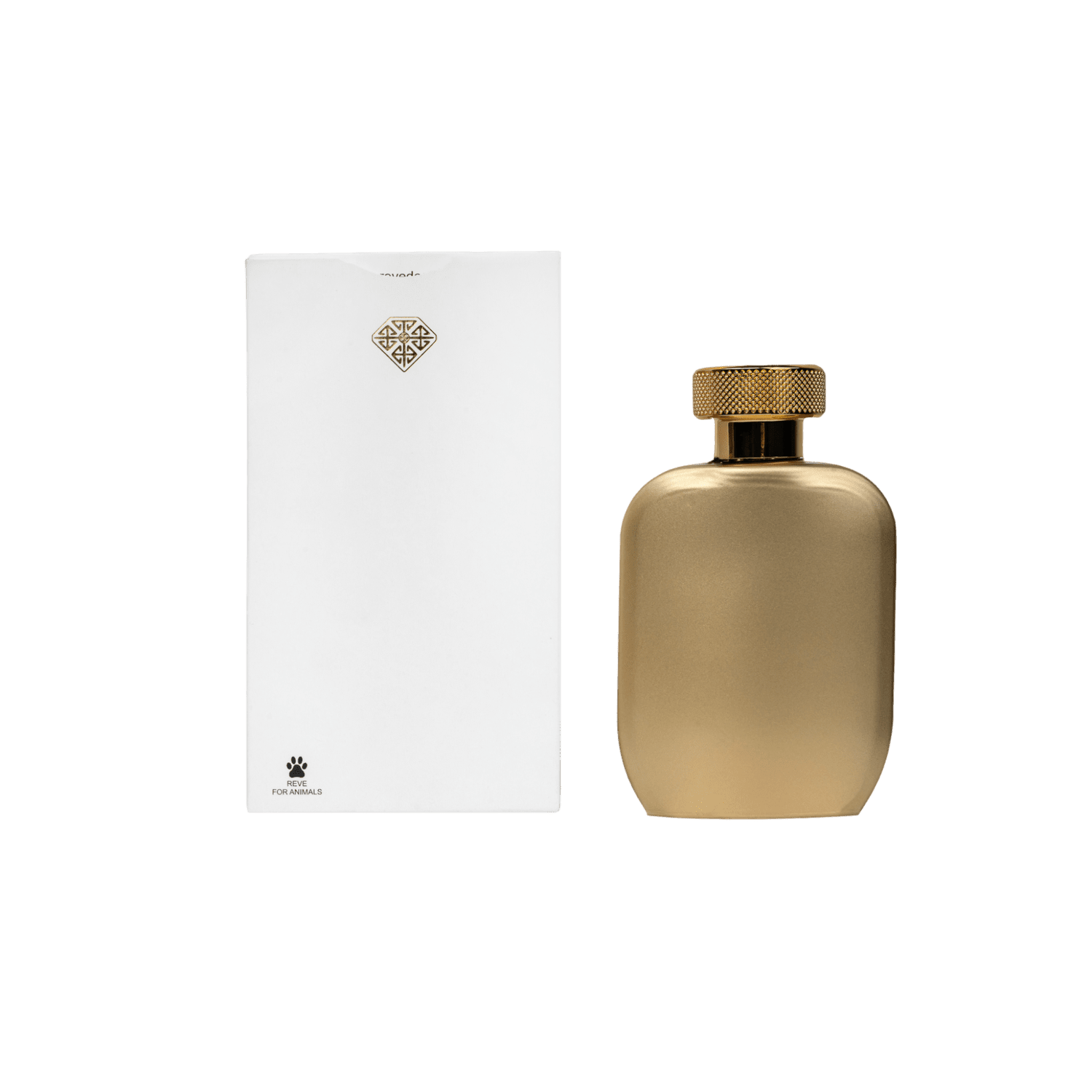 Caspian-4