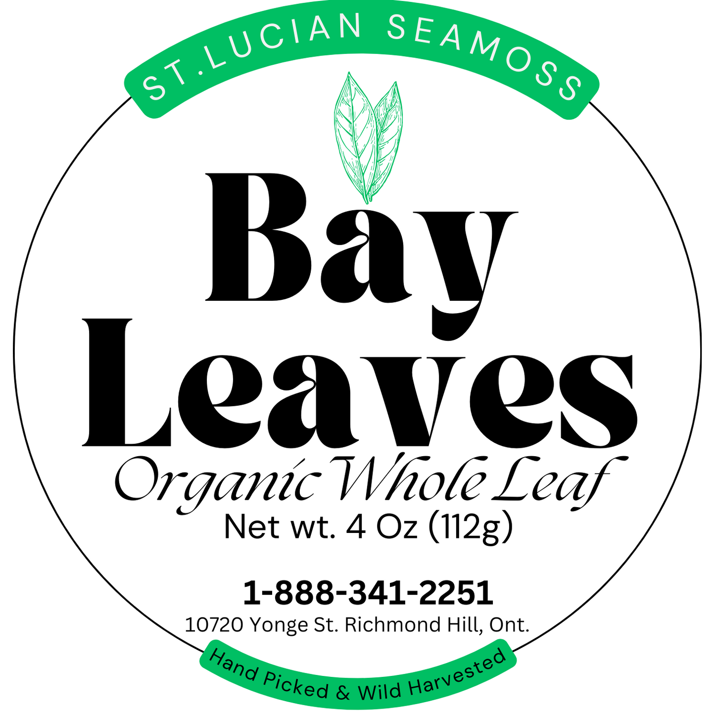 Sweet Bay Leaves-5