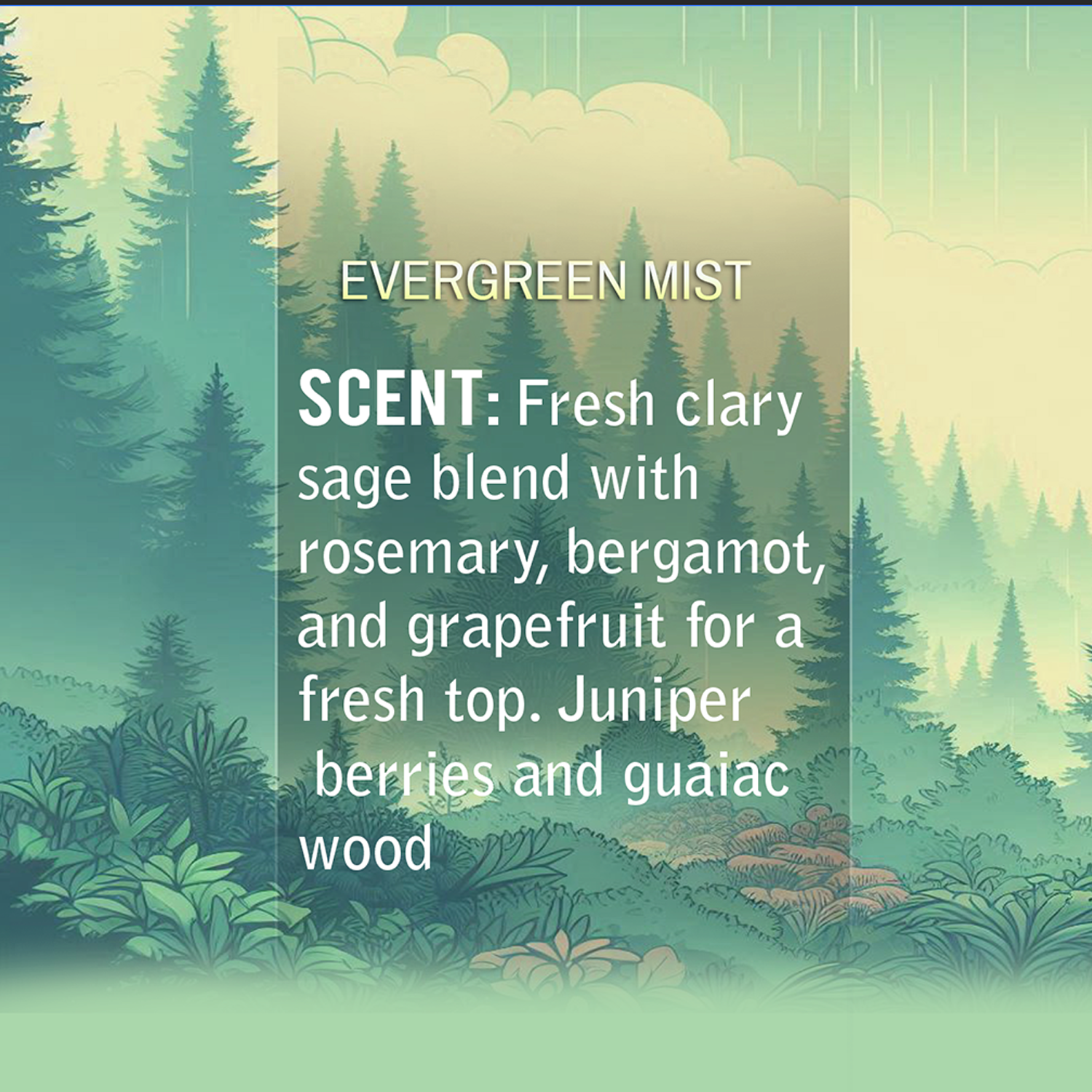 Evergreen Mist Natural Body Lotion Made With Sensitive Skin Fragrance Oil  | Organic Unrefined African Shea Butter | Organic Sweet Almond Oil | Organic Avocado Oil-3